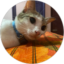 Willy profile picture